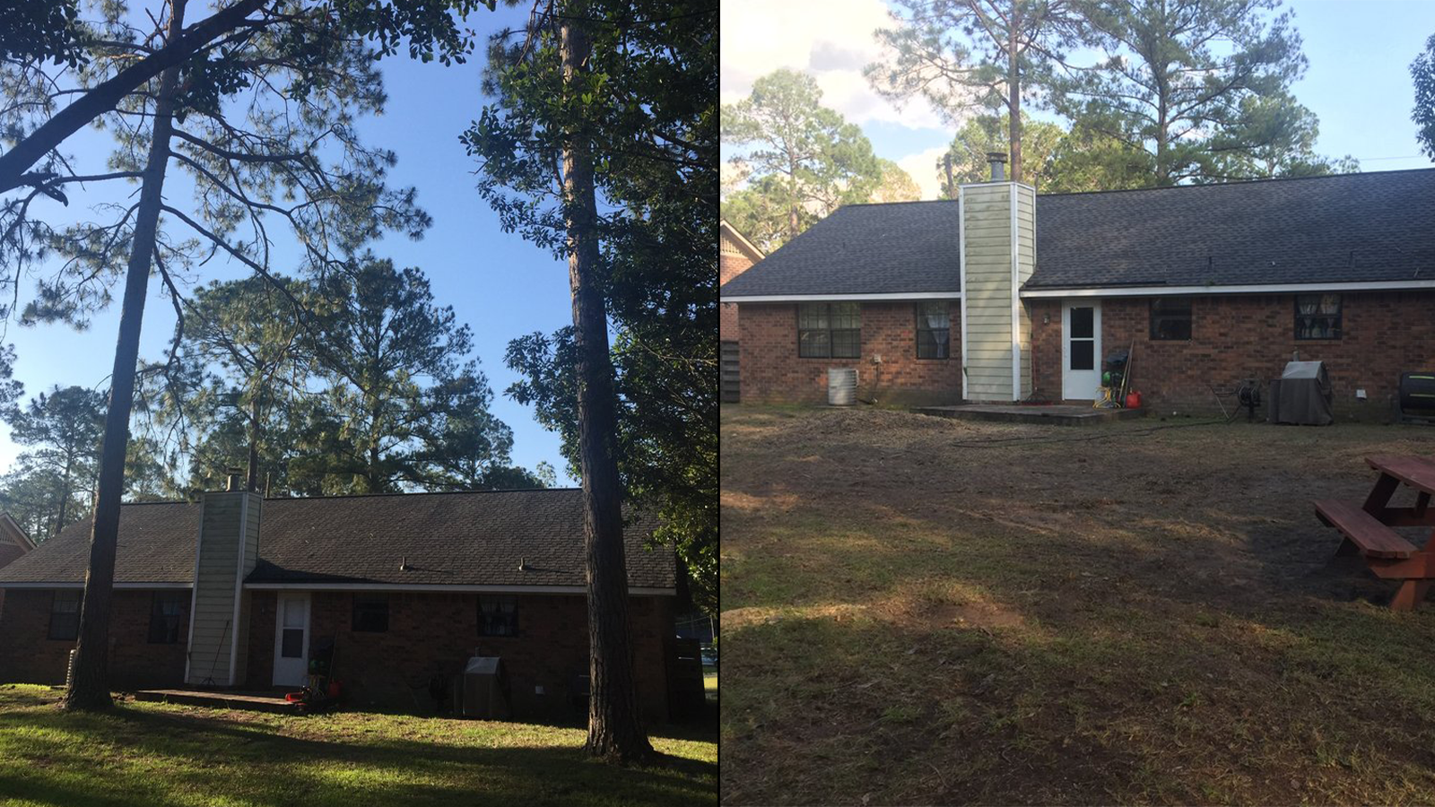Before and after photo of a backyard after multiple trees, damaged during a storm, have been safely removed